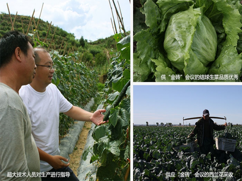 超大圆满完成厦门金砖会议蔬菜供应任务