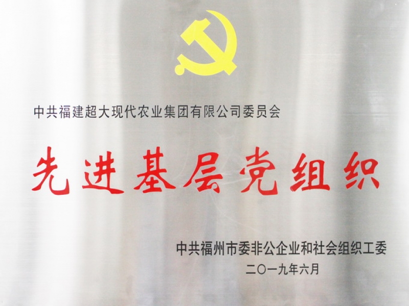 超大集团党委被评为“福州市先进基层党组织”
