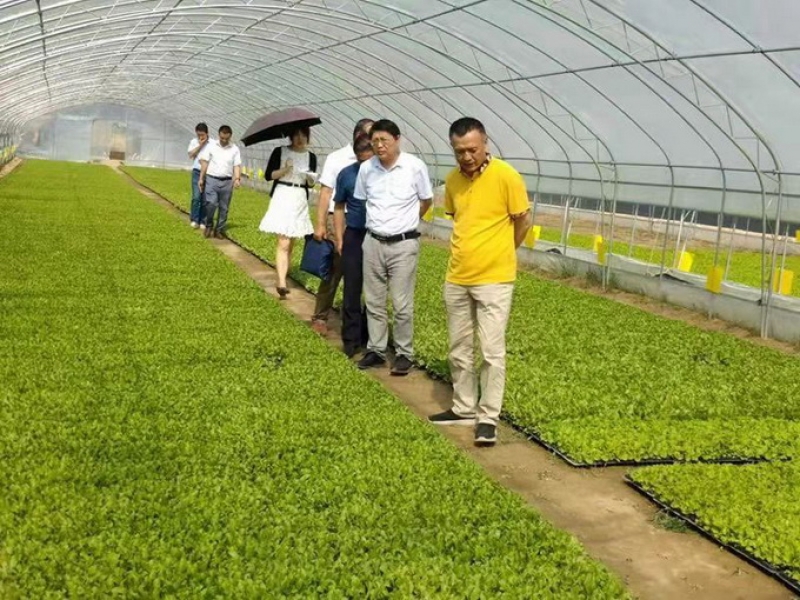 中国高新技术产业经济研究院李文辉院长一行莅临甘肃临洮超大智慧农场调研