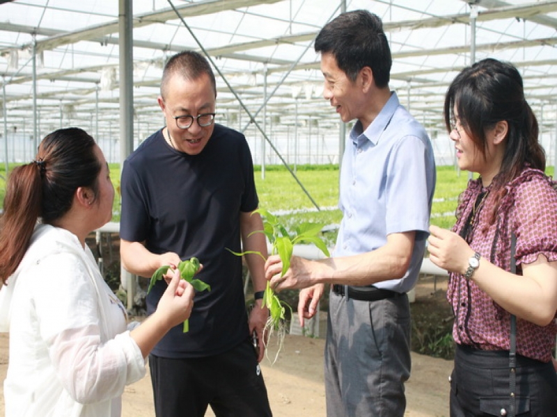 上海市嘉定区华亭镇万斌斌副镇长一行访问超大